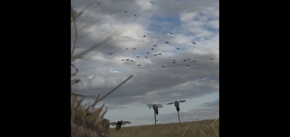 Spinner Decoys