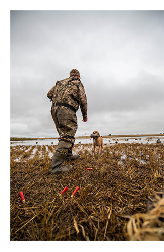 hunter walking with dog in a field