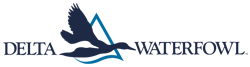 Delta Waterfowl