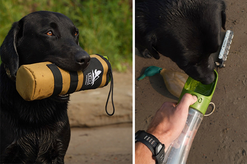 Duck Dog Club lab and GunDog water bottle