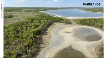 Parklands aerial view