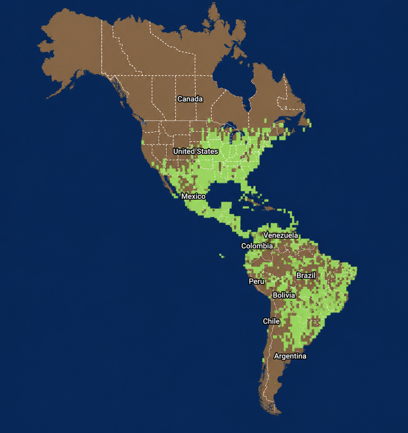 whistling duck map